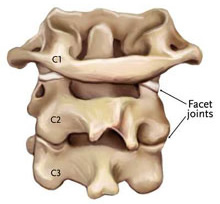 Cervical Facet Joints